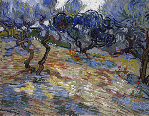 Olive_Trees_(Van_Gogh)